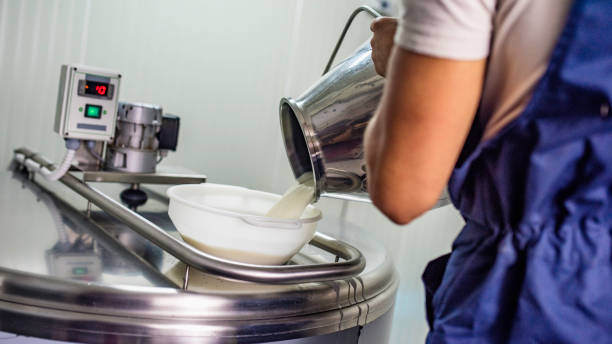 Dairy Processing Equipment Market